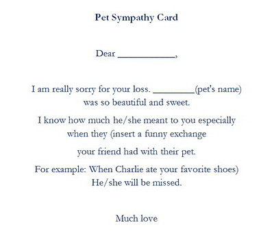 Pet Template | TheRoyalStore